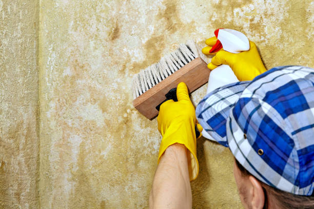 Best Air Quality Testing for Mold Spores  in Stone Mountain, GA