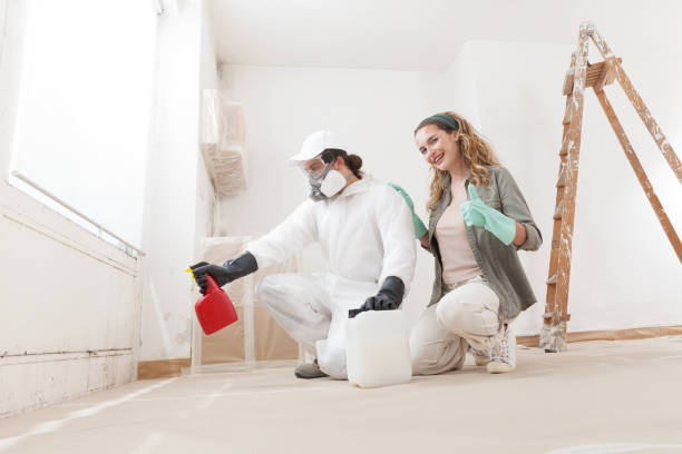 Best Emergency Mold Remediation  in Stone Mountain, GA
