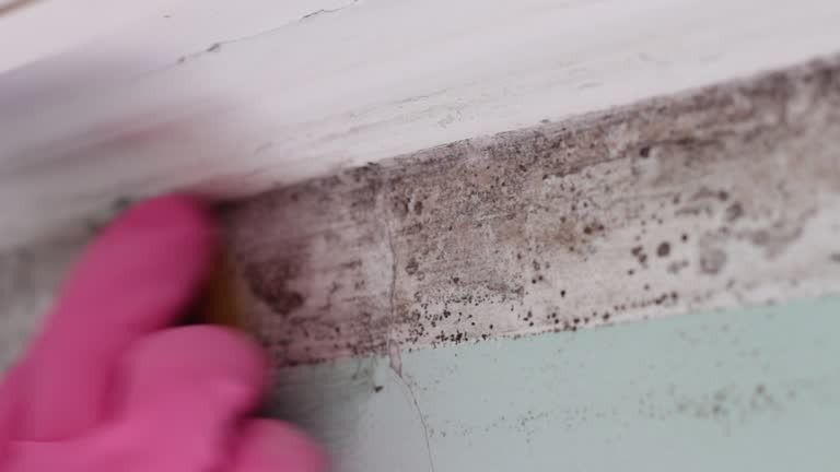 Best Residential Mold Inspection & Testing  in Stone Mountain, GA